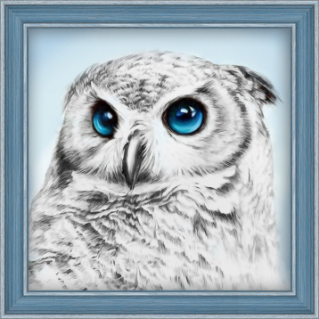 Взгляд совы Алмазная живопись АЖ.1549, цена 1 015 руб. - интернет-магазин Мадам Брошкина