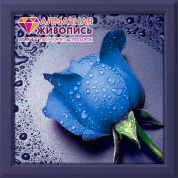 Синяя роза Алмазная живопись АЖ.15, цена 1 015 руб. - интернет-магазин Мадам Брошкина