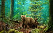 Медведи в лесу Алмазное хобби Ah5331