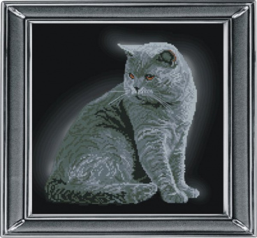 Британская короткошерстная кошка Краса i Творчiсть 21111, цена 1 851 руб. - интернет-магазин Мадам Брошкина