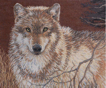 Серый волк Bucilla 45477, цена 3 188 руб. - интернет-магазин Мадам Брошкина
