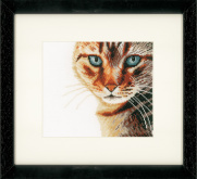 CAT - CLOSE-UP   Lanarte PN-0021220