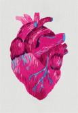 Анатомическое сердце Panna JK-2195