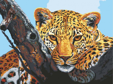 Взгляд леопарда Grafitec 10.501, цена €12 - интернет-магазин Мадам Брошкина