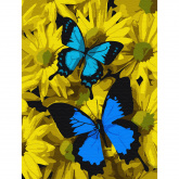 Синие бабочки в цветах Molly KH0794