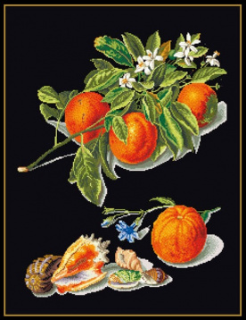 Апельсины и мандарин Thea Gouverneur 3061.05, цена €46 - интернет-магазин Мадам Брошкина