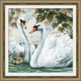 Белые лебеди Риолис 1726
