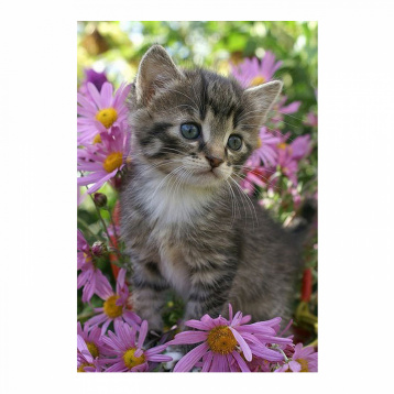 Серый котенок Molly KK0605, цена 890 руб. - интернет-магазин Мадам Брошкина