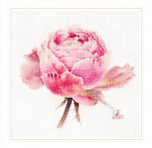 Акварельные розы. Розовая изысканная Алиса 2-53