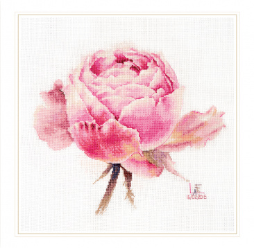 Акварельные розы. Розовая изысканная Алиса 2-53, цена 1 352 руб. - интернет-магазин Мадам Брошкина