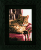 Relaxed Tabby   Lanarte PN-0146177