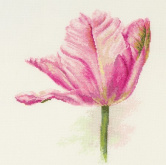 Тюльпаны. Нежно-розовый Алиса 2-42
