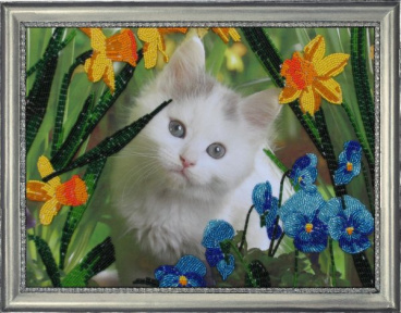 Котёнок в цветах Butterfly 554, цена 1 646 руб. - интернет-магазин Мадам Брошкина