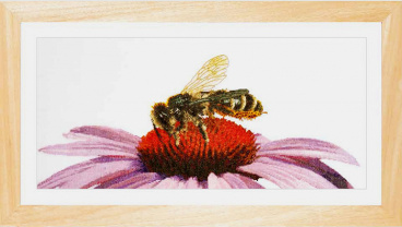 Пчела на эхинацее Thea Gouverneur 549A, цена 4 137 руб. - интернет-магазин Мадам Брошкина
