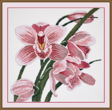 Зов орхидеи Овен 762, цена 498 руб. - интернет-магазин Мадам Брошкина