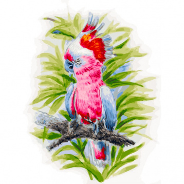 Розовый попугай Белоснежка 361-AS, цена 926 руб. - интернет-магазин Мадам Брошкина