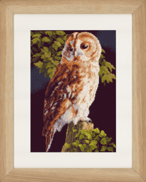 Owl   Lanarte PN-0146814, цена 4 478 руб. - интернет-магазин Мадам Брошкина