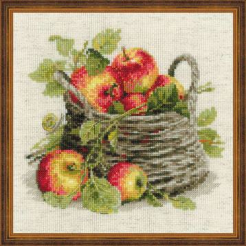 Спелые яблоки Риолис 1450, цена 881 руб. - интернет-магазин Мадам Брошкина