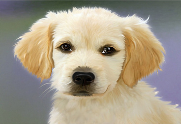 Пушистый щенок Molly KH0869, цена 590 руб. - интернет-магазин Мадам Брошкина