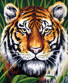 Портрет тигра Grafitec 6.253