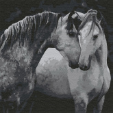 Пара лошадей Molly KHM0036