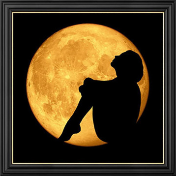 Лунный силуэт Алмазная живопись АЖ.1969, цена 1 795 руб. - интернет-магазин Мадам Брошкина
