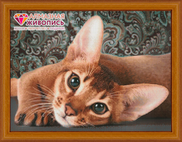 Абиссинская кошка Алмазная живопись АЖ.1458, цена 1 529 руб. - интернет-магазин Мадам Брошкина