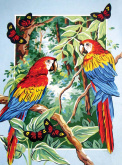 Тропические попугаи Grafitec 10.452