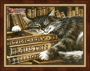 Библиотекарь Алмазная живопись АЖ.1516, цена 1 529 руб. - интернет-магазин Мадам Брошкина