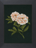 Peonies on blac  Lanarte PN-0008338