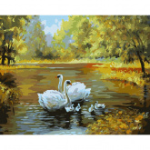 Лебеди в пруду Белоснежка 312-CG