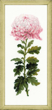 Нежный цветок Риолис 1425, цена 576 руб. - интернет-магазин Мадам Брошкина