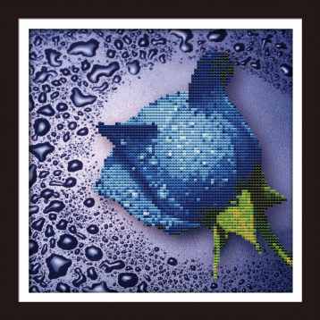 Синяя роза Колор кит 80210, цена 596 руб. - интернет-магазин Мадам Брошкина