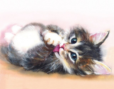 Милый котенок Цветной LG011, цена 1 870 руб. - интернет-магазин Мадам Брошкина