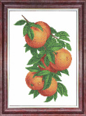 Ветка с апельсинами Каролинка КБЦ-3057
