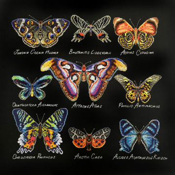 Бабочки Марья Искусница 14.001.08, цена 2 515 руб. - интернет-магазин Мадам Брошкина