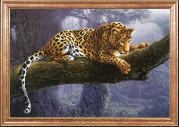 Леопард Магия канвы КС-044, цена 472 руб. - интернет-магазин Мадам Брошкина