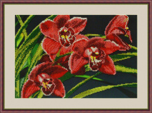 Орхидеи Galla Collection Л313