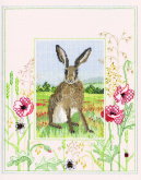Hare Derwentwater WIL5