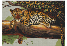 Леопард Нитекс А-0036