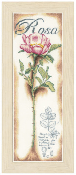 Pink Rose  Lanarte PN-0154334, цена €48 - интернет-магазин Мадам Брошкина