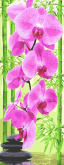 Панно. Розовая орхидея Molly KHS0009