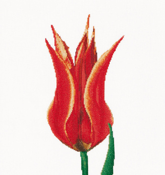 Красный тюльпан Thea Gouverneur 515, цена 4 449 руб. - интернет-магазин Мадам Брошкина