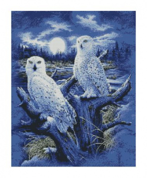 Ночные птицы Алмазная вышивка СК-631(П), цена 1 843 руб. - интернет-магазин Мадам Брошкина