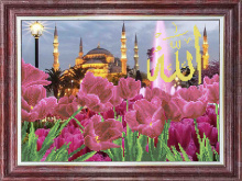 Тюльпаны у Голубой мечети Каролинка КБП-3055