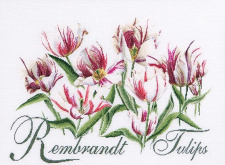 Рембрандт, Тюльпаны Thea Gouverneur 447