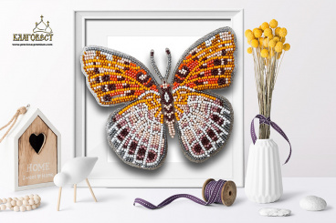 Бабочка Euptoieta Claudia Благовест Б-023, цена 550 руб. - интернет-магазин Мадам Брошкина