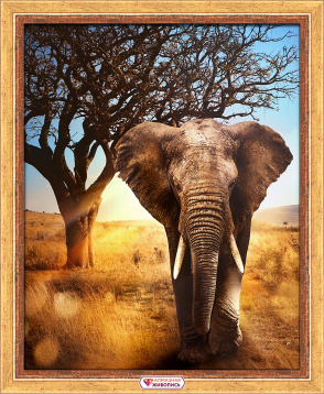 Африканский слон Алмазная живопись АЖ.1783, цена 2 393 руб. - интернет-магазин Мадам Брошкина