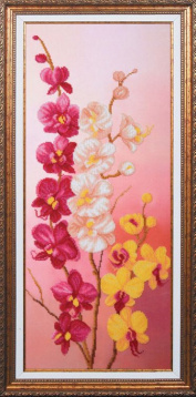 Вдохновение Орхидеи Магия канвы Б197, цена 2 961 руб. - интернет-магазин Мадам Брошкина