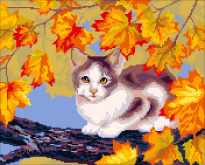 Осенний кот Нитекс 2001